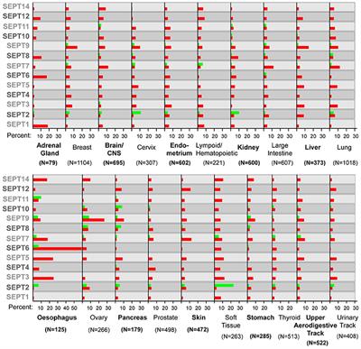 Septin Mutations in Human Cancers